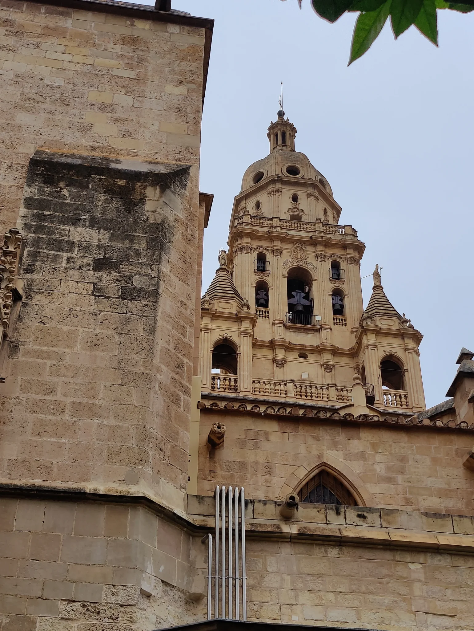 IMG20240428135930